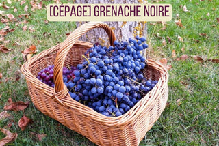Grenache Noir