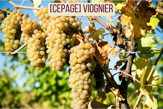 Viognier